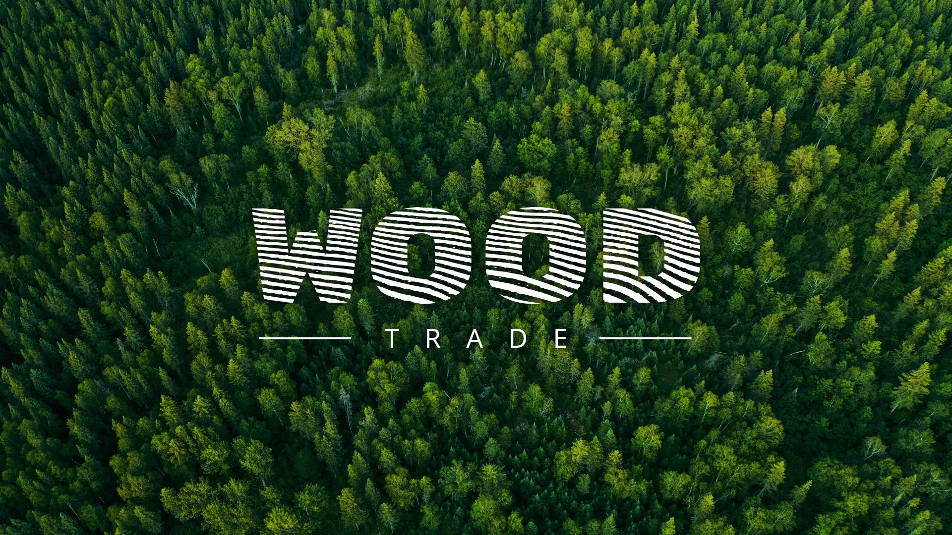 Разработка интернет-магазина компании «Wood Trade» в Гагарине